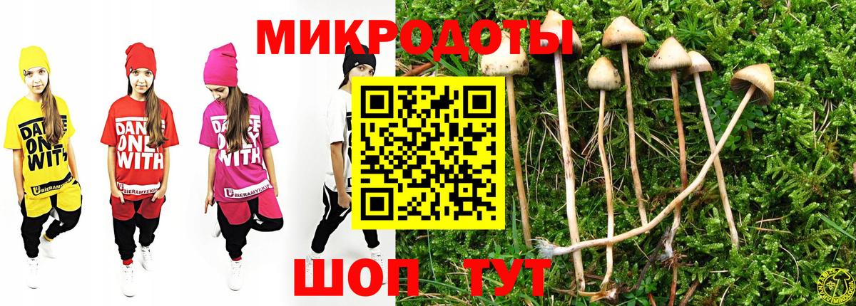 Галлюциногенные грибы мицелий  Псилоцибиновые грибы прущие грибы  Вход с VPN  Спасск-Дальний 
