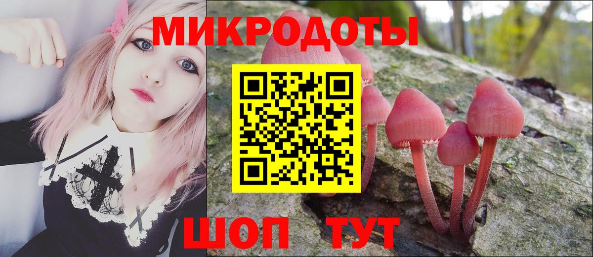 Галлюциногенные грибы Psilocybe Спасск-Дальний